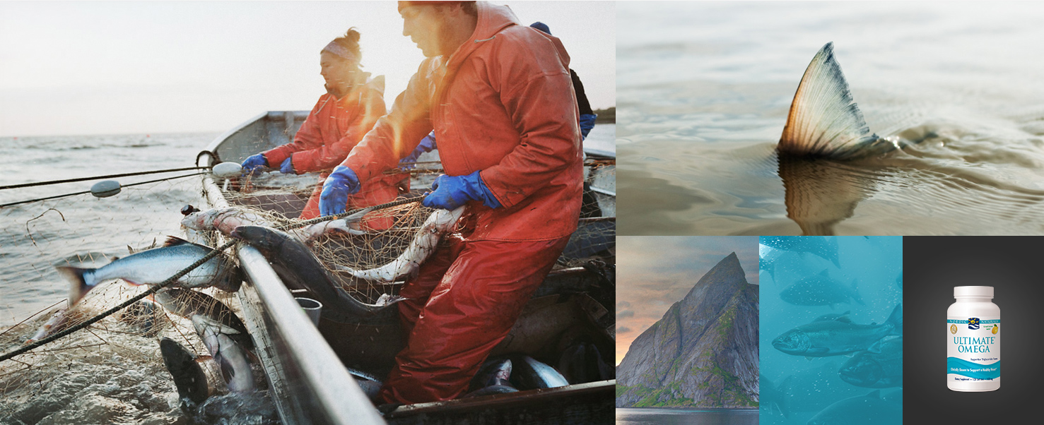 nordic photographic mooodboard